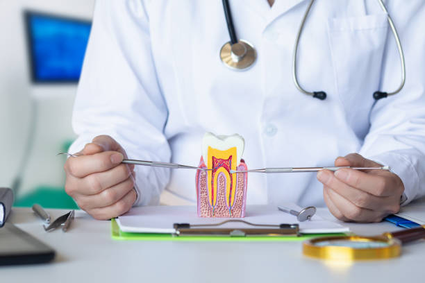 Best Emergency Root Canal Treatment in Cuero, TX